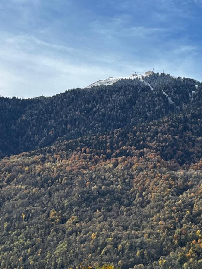 Maison De Village Montauban-de-Luchon Εξωτερικό φωτογραφία
